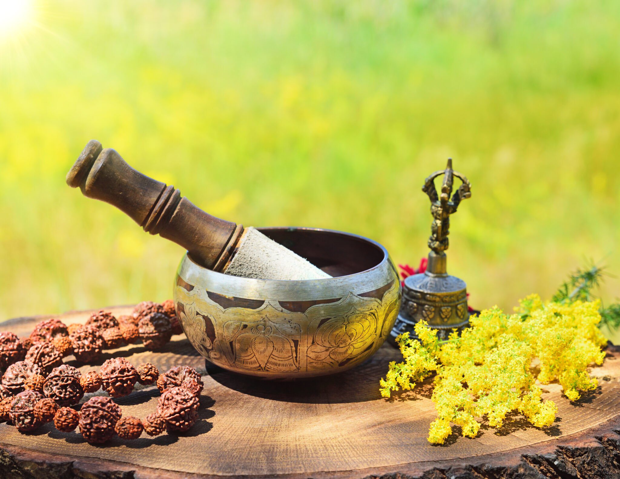 Mastering Ayurveda Balancing Vata, Pitta & Kapha Doshas