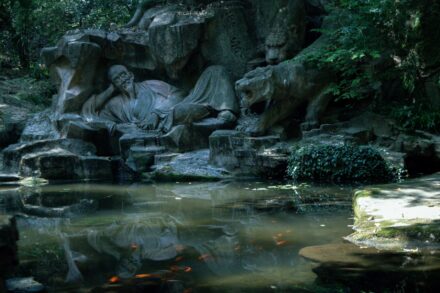 ancient wisdom exploring tapestry traditional healing practices worldwide