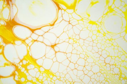 Home 8 Biofield Healing floatation homeopathy a close up view of a yellow and white substance