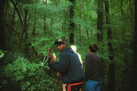 a group of people walking through a lush green forest