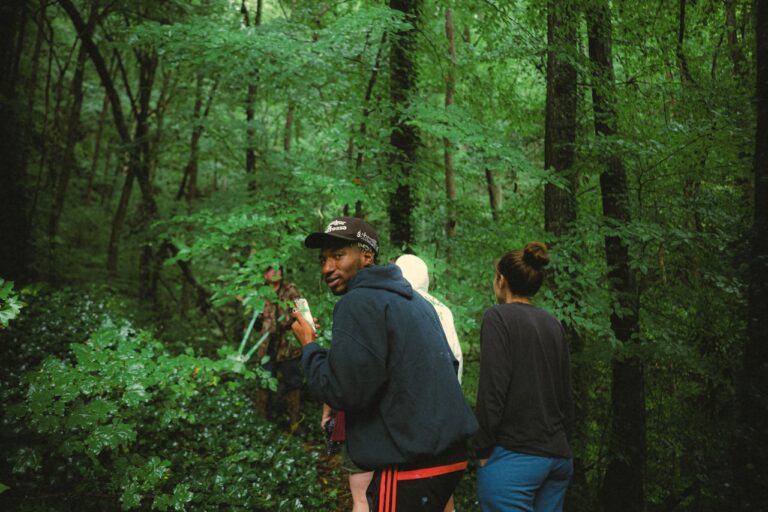 a group of people walking through a lush green forest