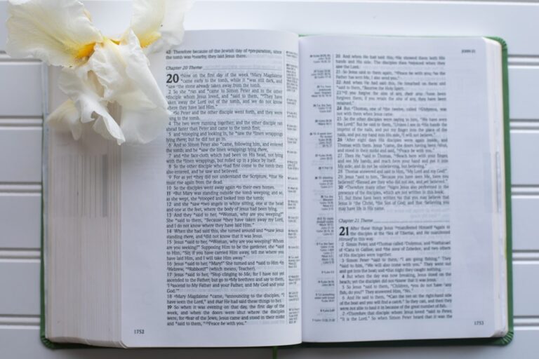 an open book with a flower on top of it