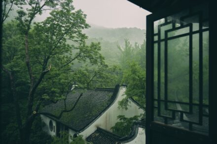 Home 12 explore traditional chinese hydrotherapy integration Rainy scenery from a window frame in the forest.