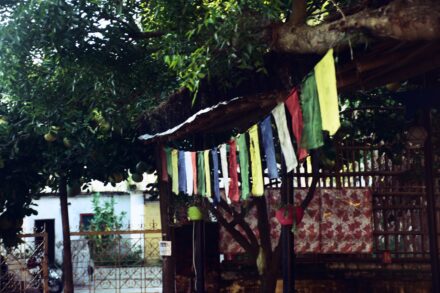 Faith Belief Spiritual 2 a bunch of colorful flags hanging from a tree