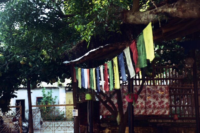 a bunch of colorful flags hanging from a tree
