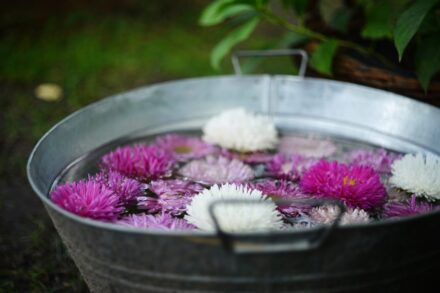 salt chamber therapy wellness secret halotherapy session inside glowing salt room