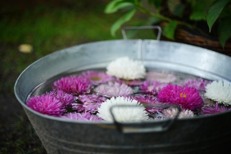 Holistic fusion enhancing wellness through complementary therapies and integrative care