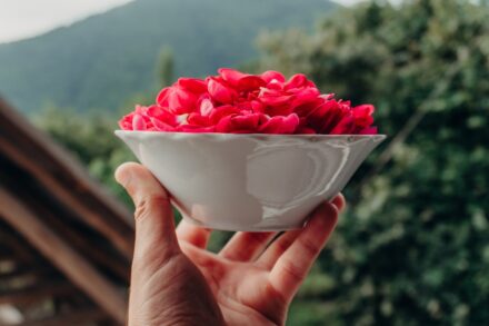 healing introduction body reconnective Hand holding bowl of vibrant red rose petals
