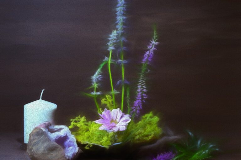 a small plant with purple flowers