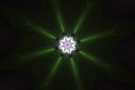 herbal medicine digestive wellness herbs for gut health