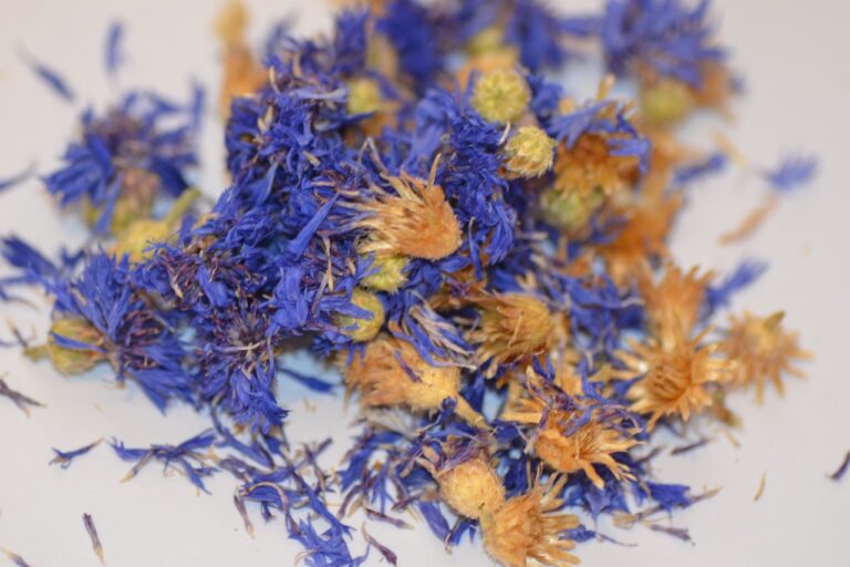 Dried blue and yellow cornflower petals scattered