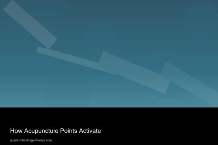 how acupuncture points activate 21732