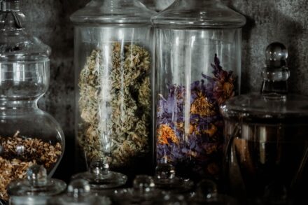 a shelf filled with glass jars filled with flowers