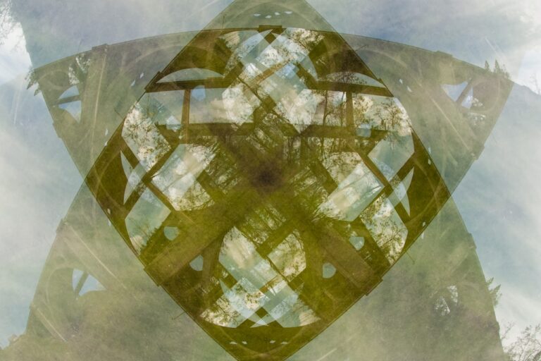 a reflection of a tree in a mirror