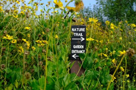 a sign in the middle of a field of wildflowers
