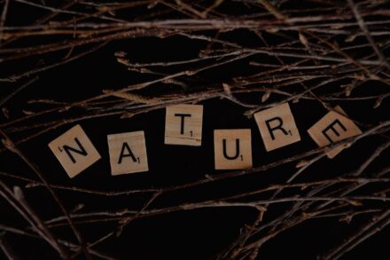 the word nature spelled with scrabbles on a black background