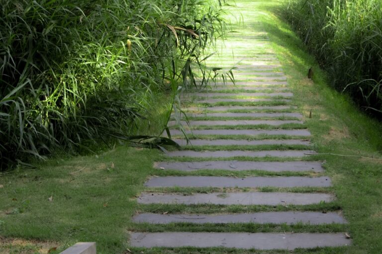 gray concrete staircase between green grass during daytime