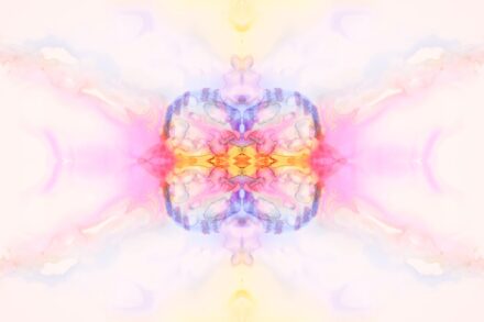 a multicolored image of a flower with a white background