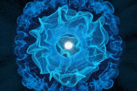 Quantum Healing & Techniques A blue flower with a white center on a black background