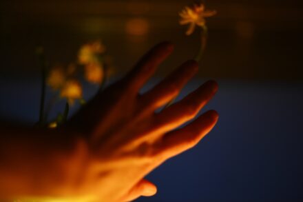 Quantum Healing & Techniques A person's hand reaching for a flower