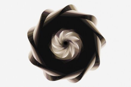 A spiraling dark form against a white background.