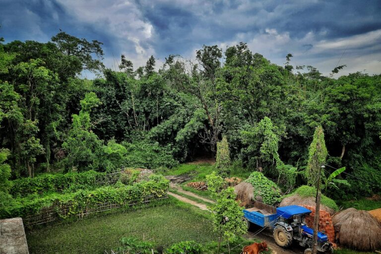 a farm with trees and a tractor