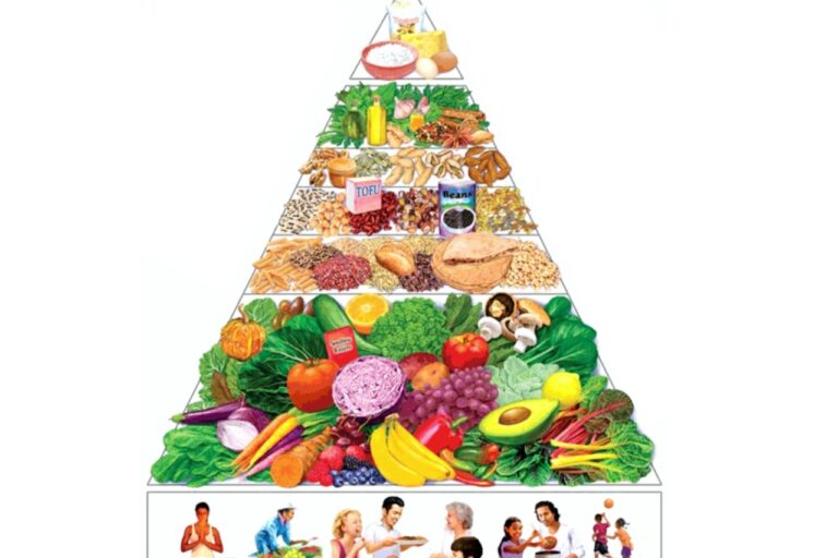 a pyramid of food that includes fruits and vegetables