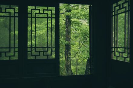 traditional chinese jade alternative Windows frame a lush green forest view.