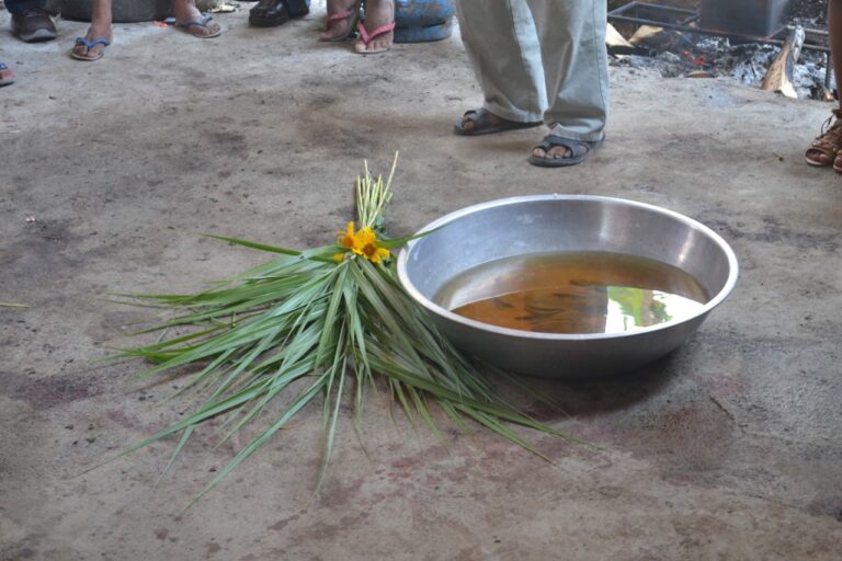 Traditional Healing Practices a bowl of soup with a flower on the ground