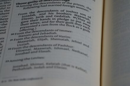 a close up of an open book with text