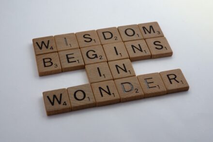brown wooden blocks on white table