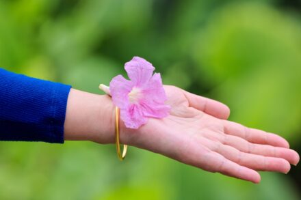 a person holding a pink flower in their hand