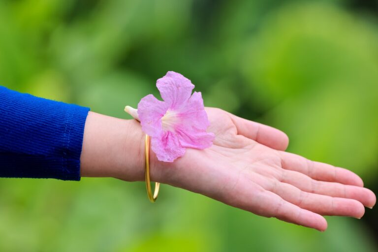 a person holding a pink flower in their hand